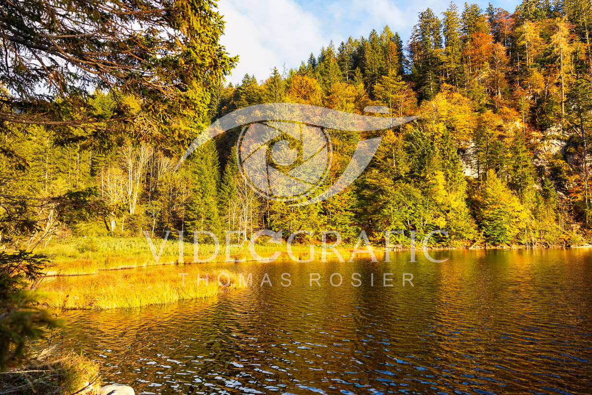 Golden-Autumn-079.jpg