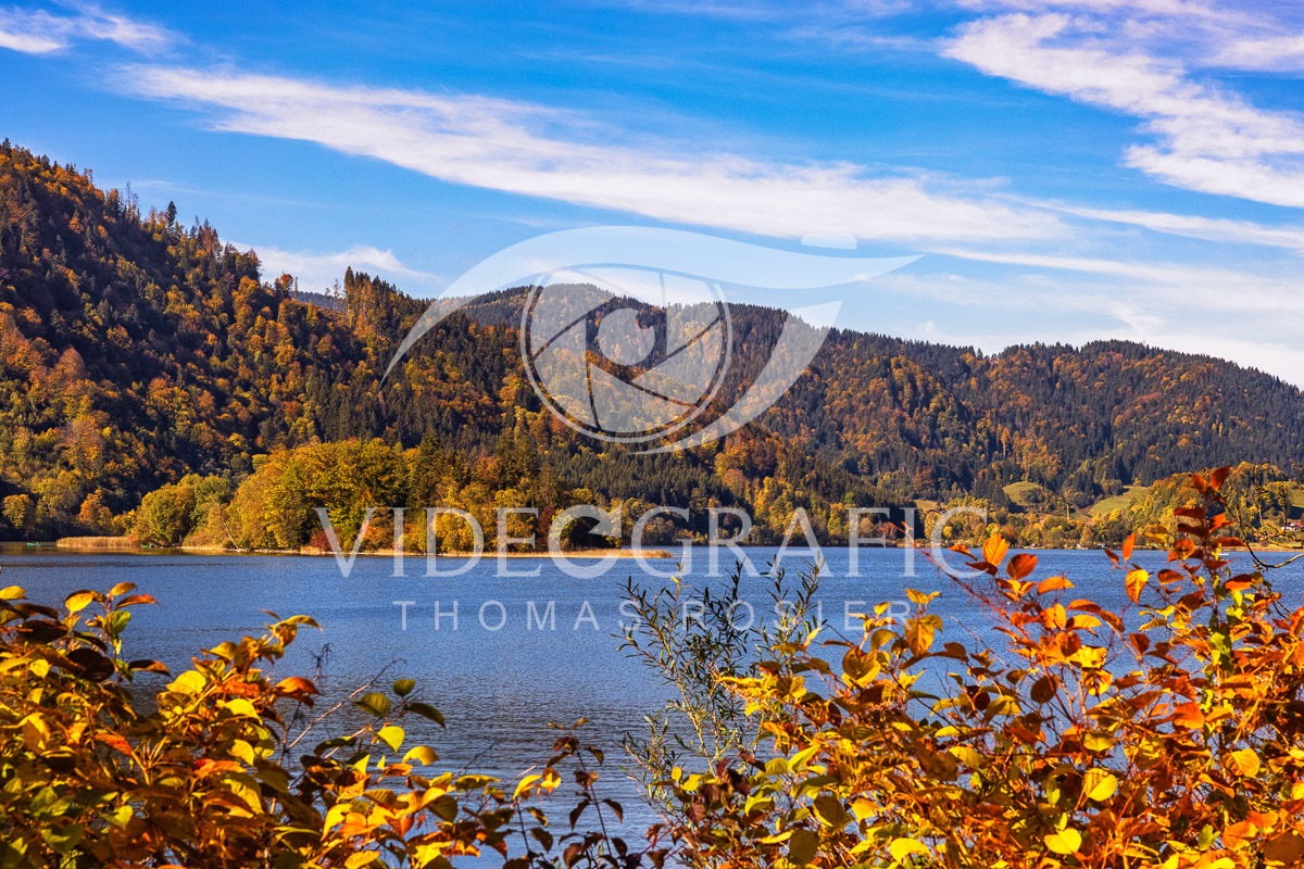 Golden-Autumn-084.jpg