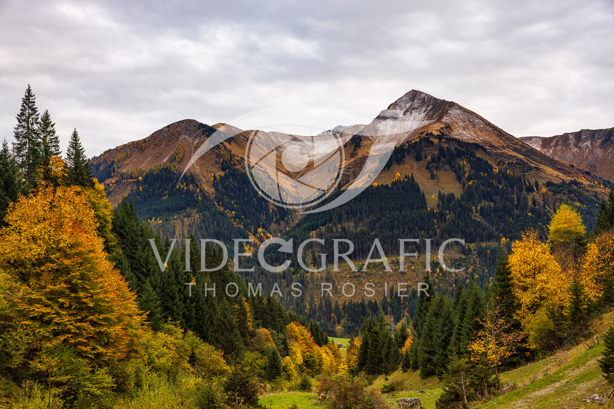 Golden-Autumn-098.jpg