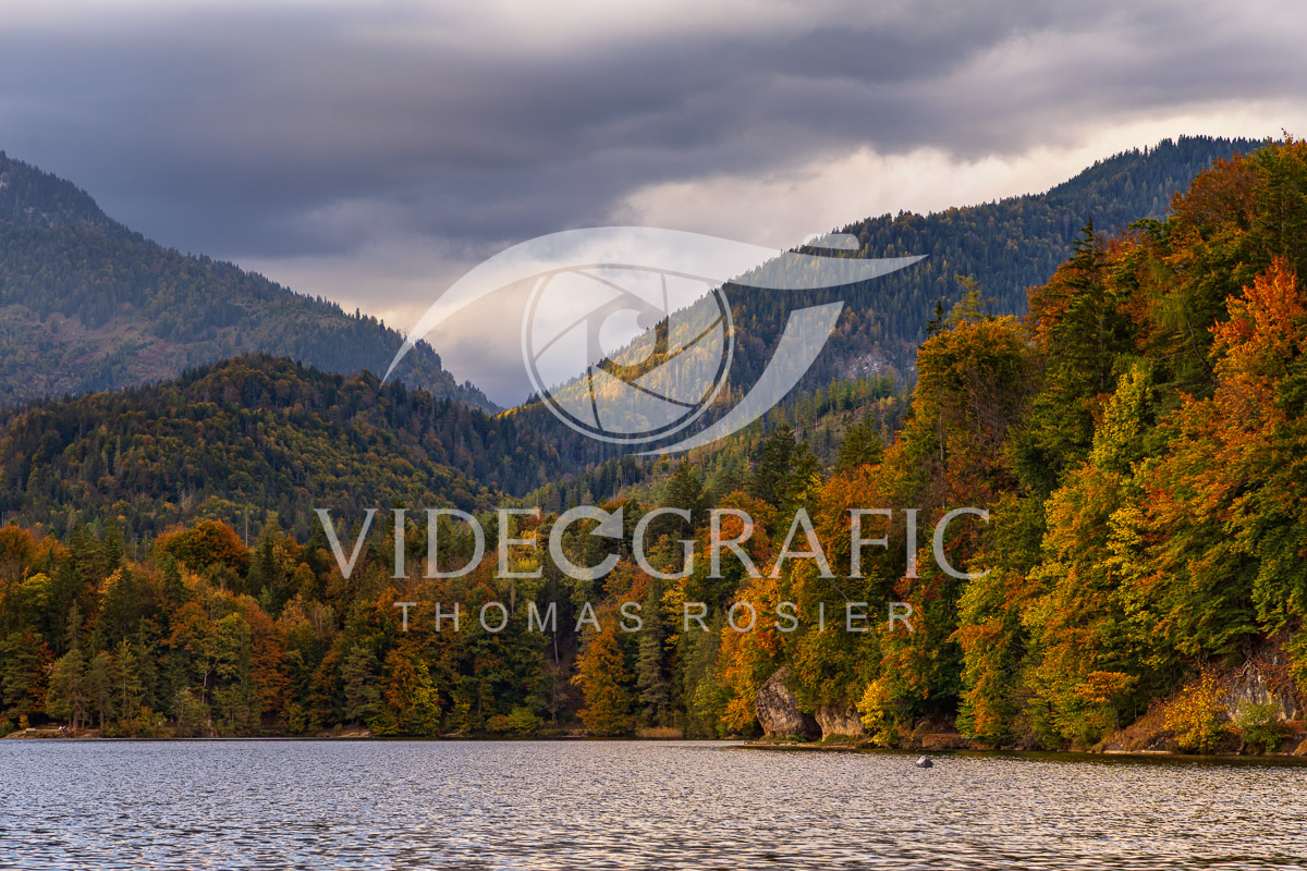 Golden-Autumn-107.jpg
