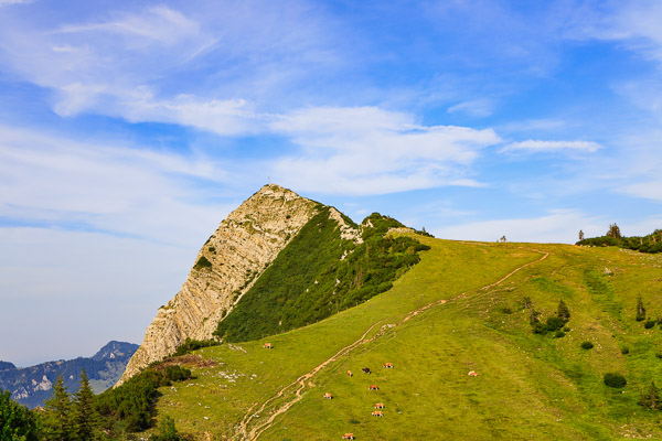 Bavarian Prealps 046 Bavarian-Prealps-046.jpg