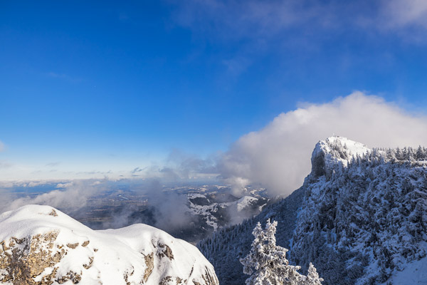 Bavarian Prealps 379 Bavarian-Prealps-379.jpg