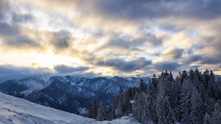 Bavarian Prealps 409 Bavarian-Prealps-409.jpg