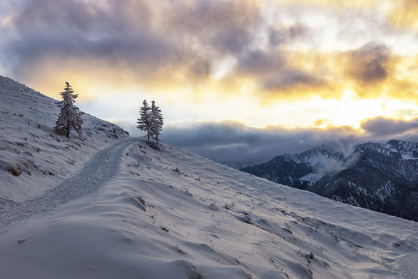 Bavarian Prealps 410 Bavarian-Prealps-410.jpg