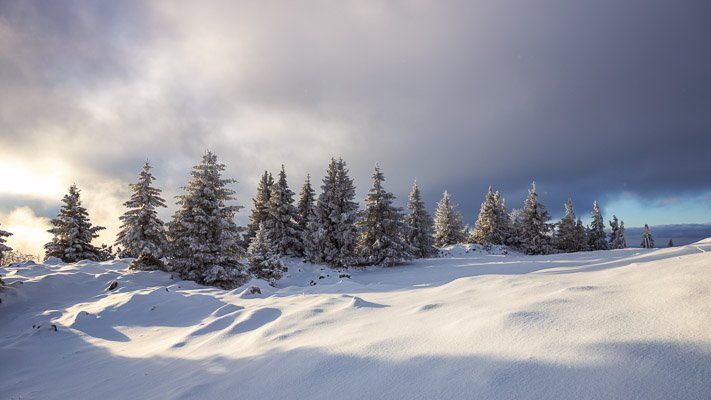 Bavarian Prealps 437 Bavarian-Prealps-437.jpg