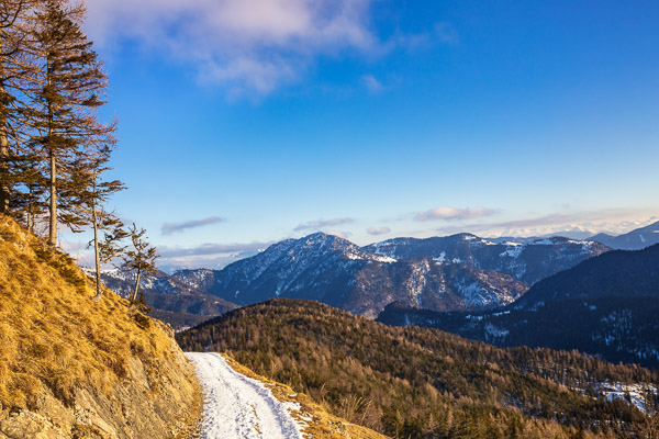 Bavarian Prealps 466 Bavarian-Prealps-466.jpg