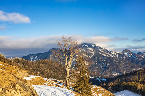 Bavarian Prealps 467 Bavarian-Prealps-467.jpg