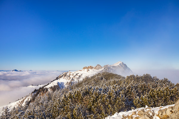 Bavarian Prealps 479 Bavarian-Prealps-479.jpg