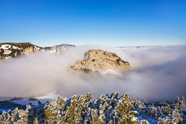 Bavarian Prealps 486 Bavarian-Prealps-486.jpg