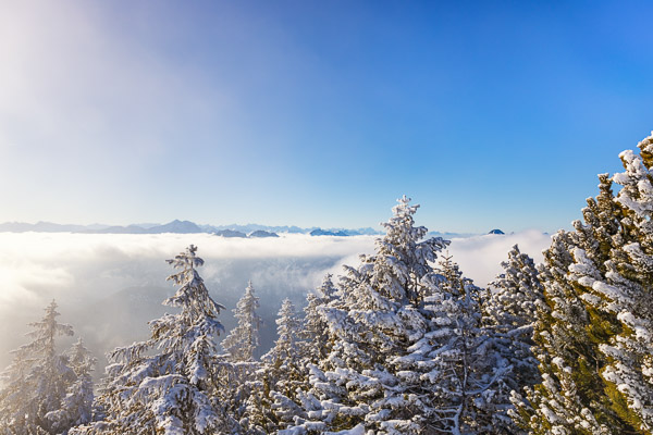 Bavarian Prealps 497 Bavarian-Prealps-497.jpg