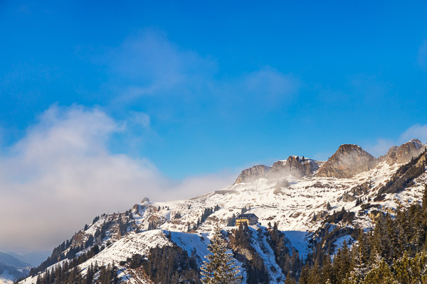 Bavarian Prealps 501 Bavarian-Prealps-501.jpg