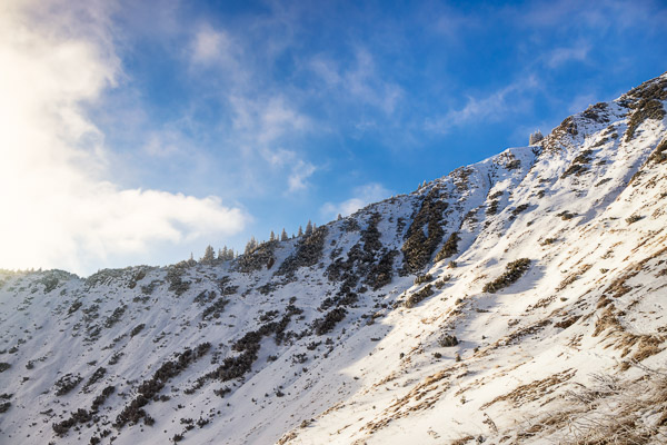 Bavarian Prealps 502 Bavarian-Prealps-502.jpg