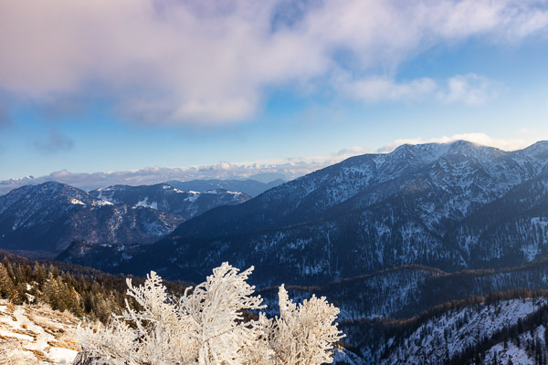 Bavarian Prealps 504 Bavarian-Prealps-504.jpg