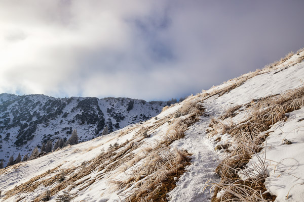 Bavarian Prealps 505 Bavarian-Prealps-505.jpg