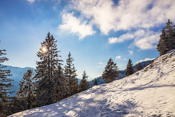 Bavarian Prealps 508 Bavarian-Prealps-508.jpg