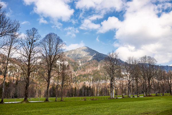 Bavarian Prealps 513 Bavarian-Prealps-513.jpg