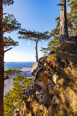 Bavarian Prealps 548 Bavarian-Prealps-548.jpg