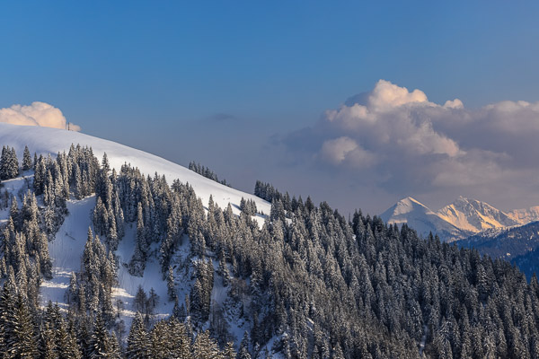 Bavarian Prealps 578 Bavarian-Prealps-578.jpg