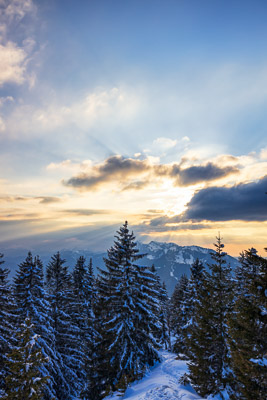 Bavarian Prealps 582 Bavarian-Prealps-582.jpg