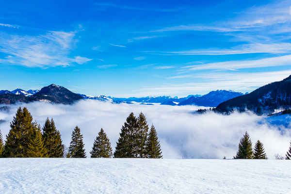 Bavarian Prealps 596 Bavarian-Prealps-596.jpg