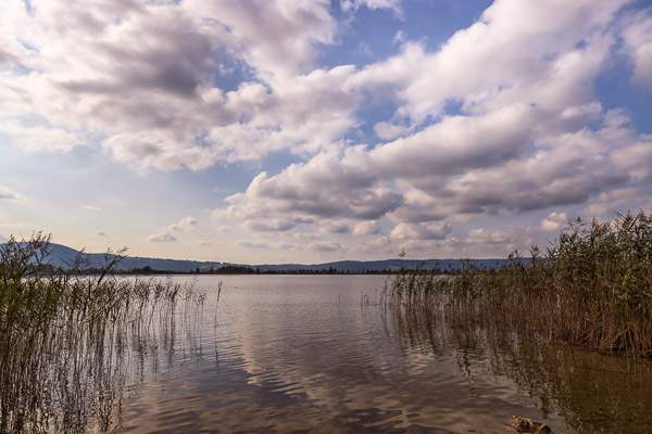 Lake-Kochelsee-025.jpg