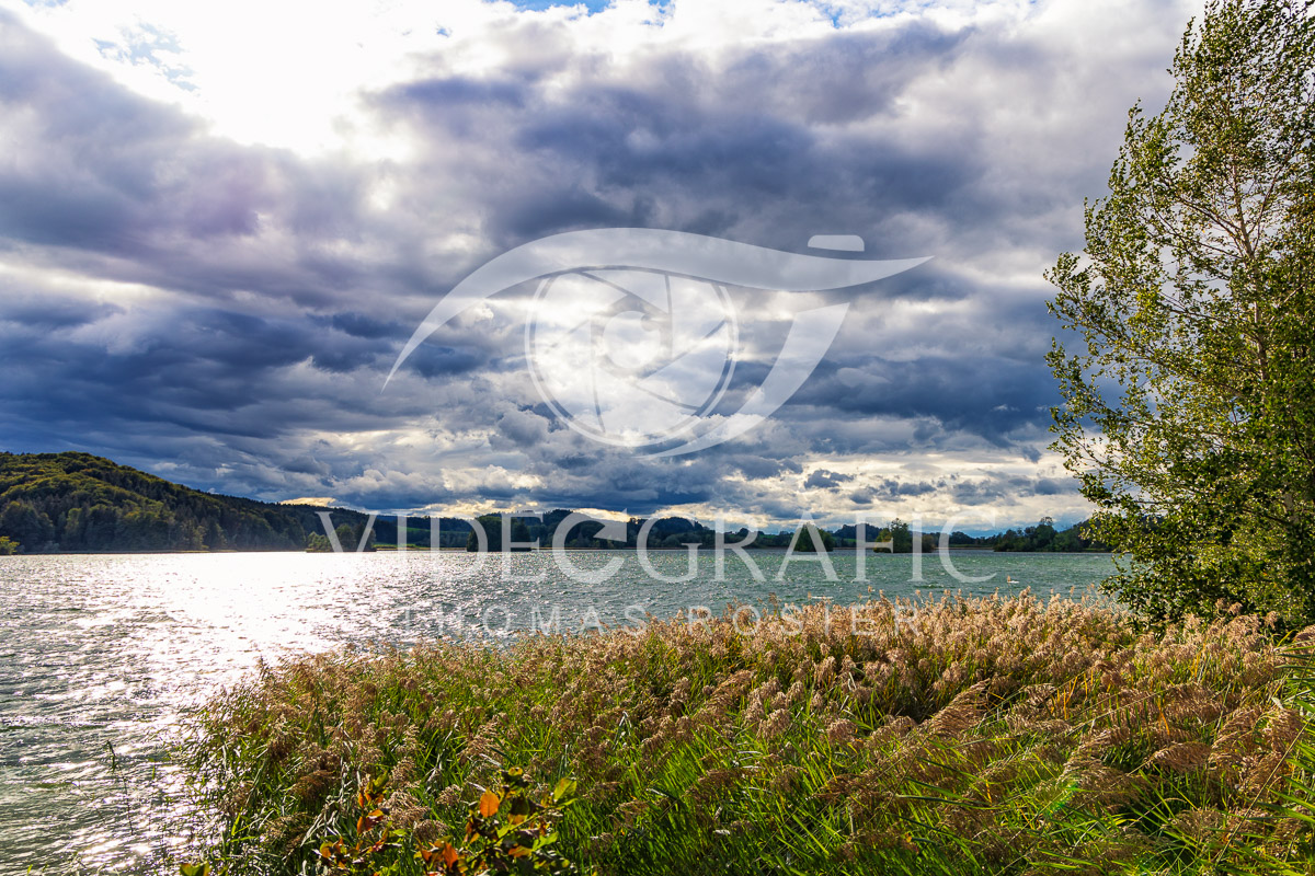 Lake-Seehamersee-020.jpg