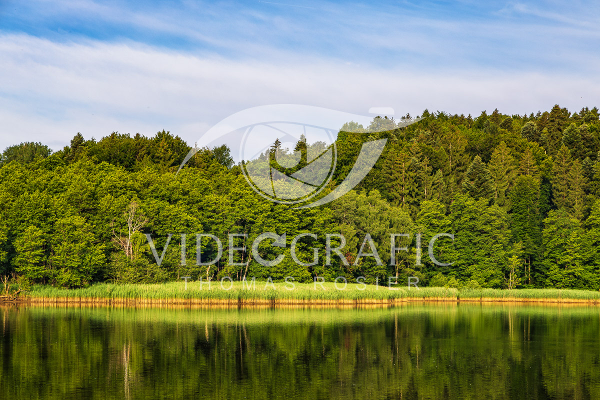 Lake-Seehamersee-048.jpg