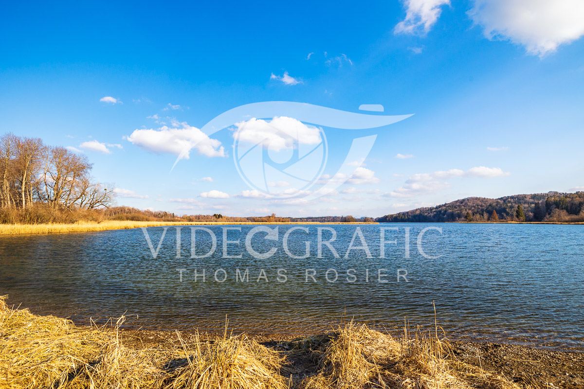 Lake-Seehamersee-056.jpg
