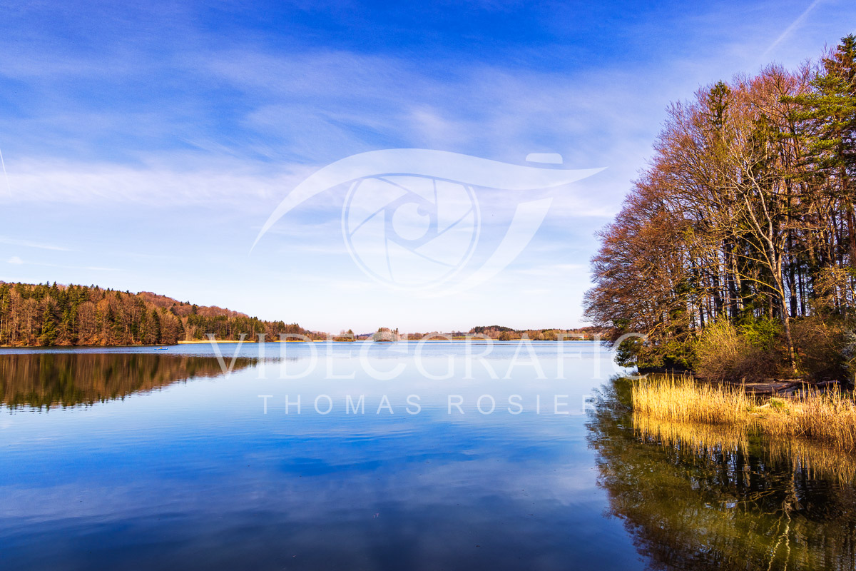 Lake-Seehamersee-059.jpg