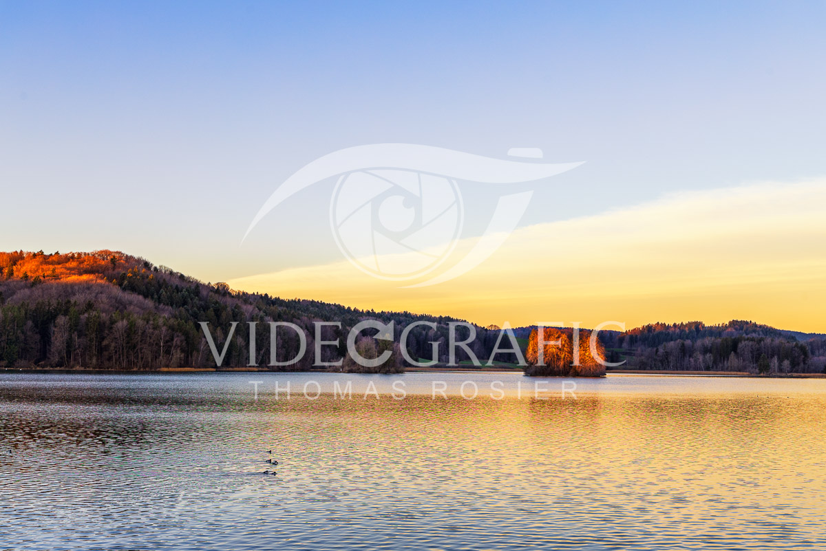 Lake-Seehamersee-092.jpg