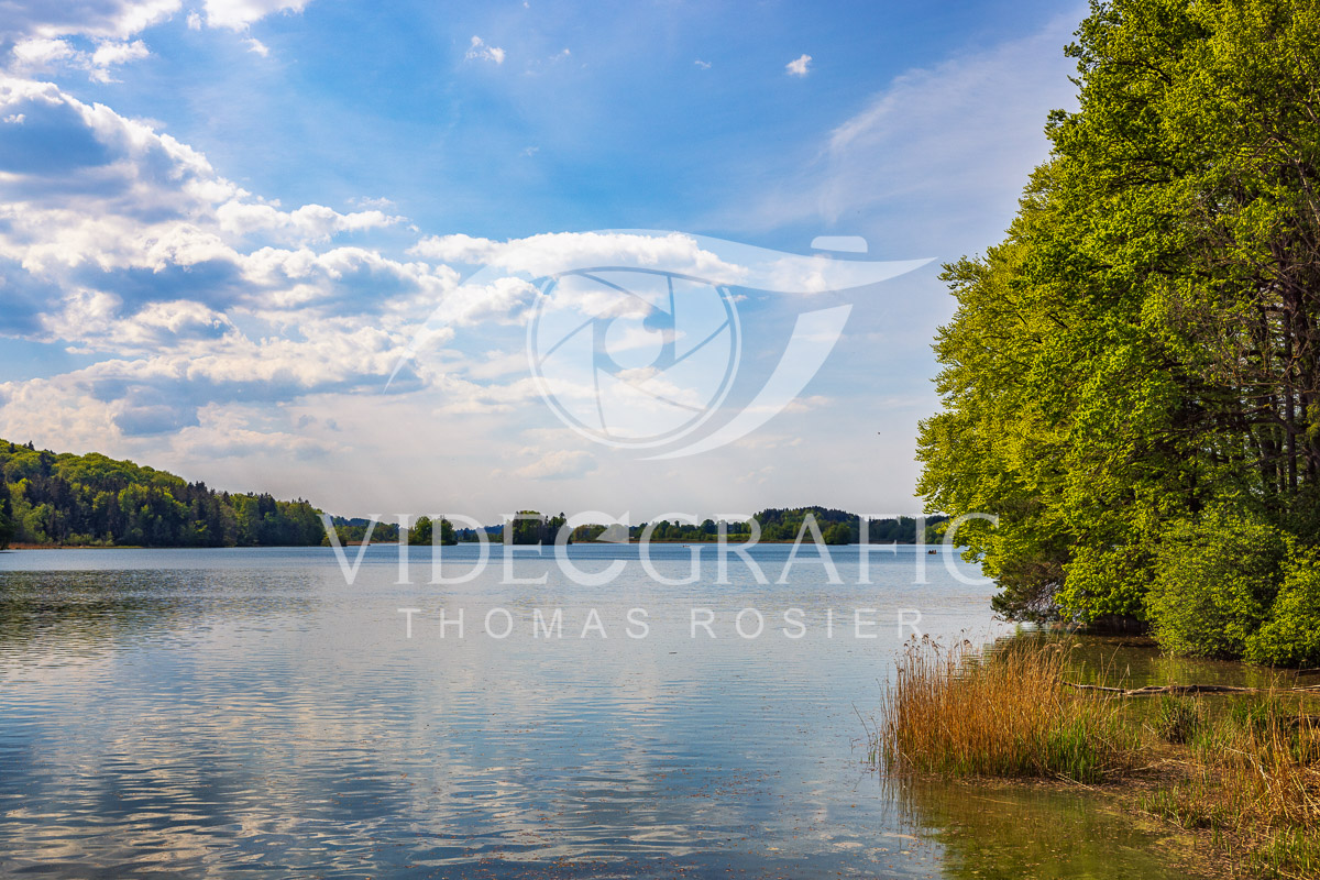 Lake-Seehamersee-099.jpg