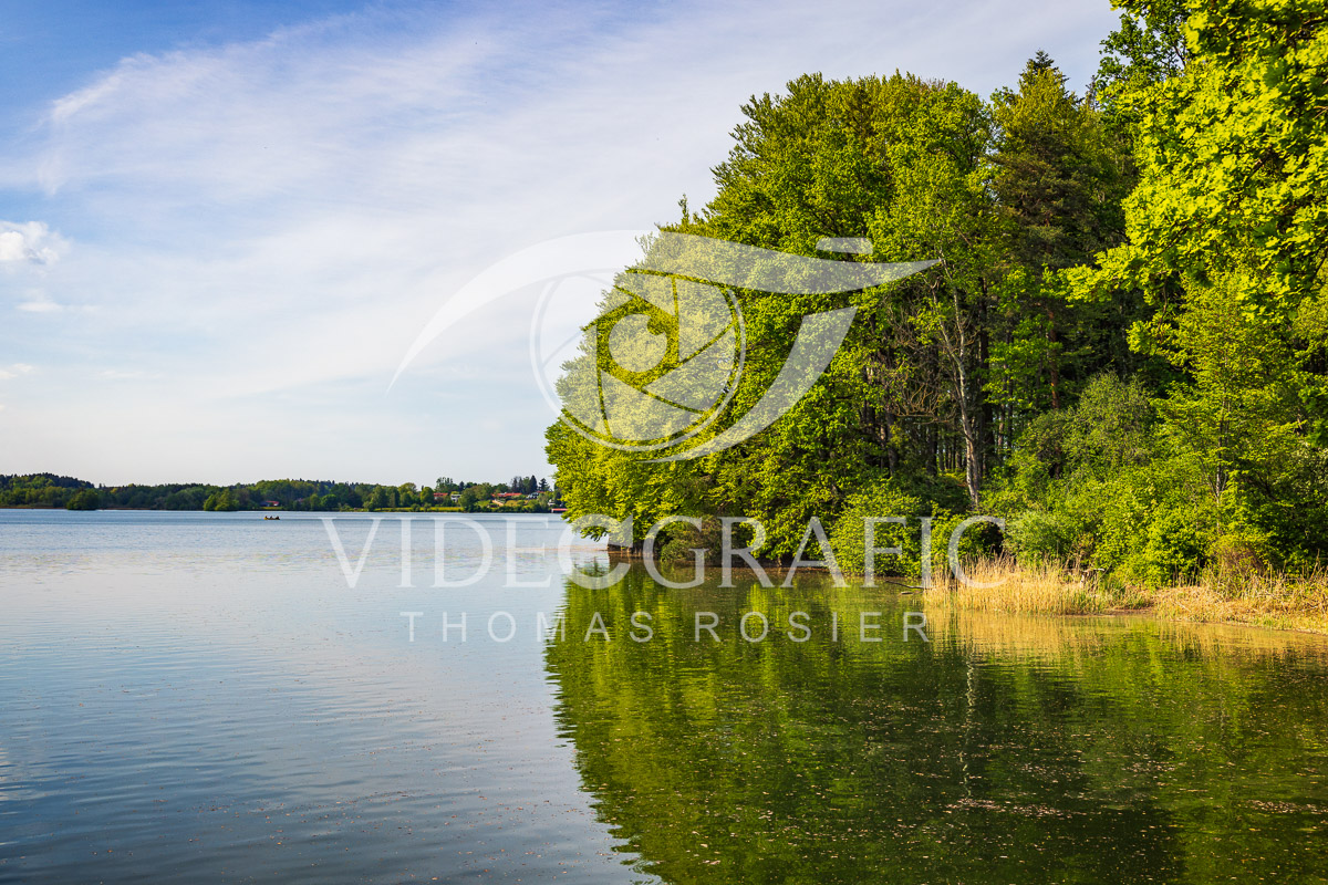 Lake-Seehamersee-105.jpg