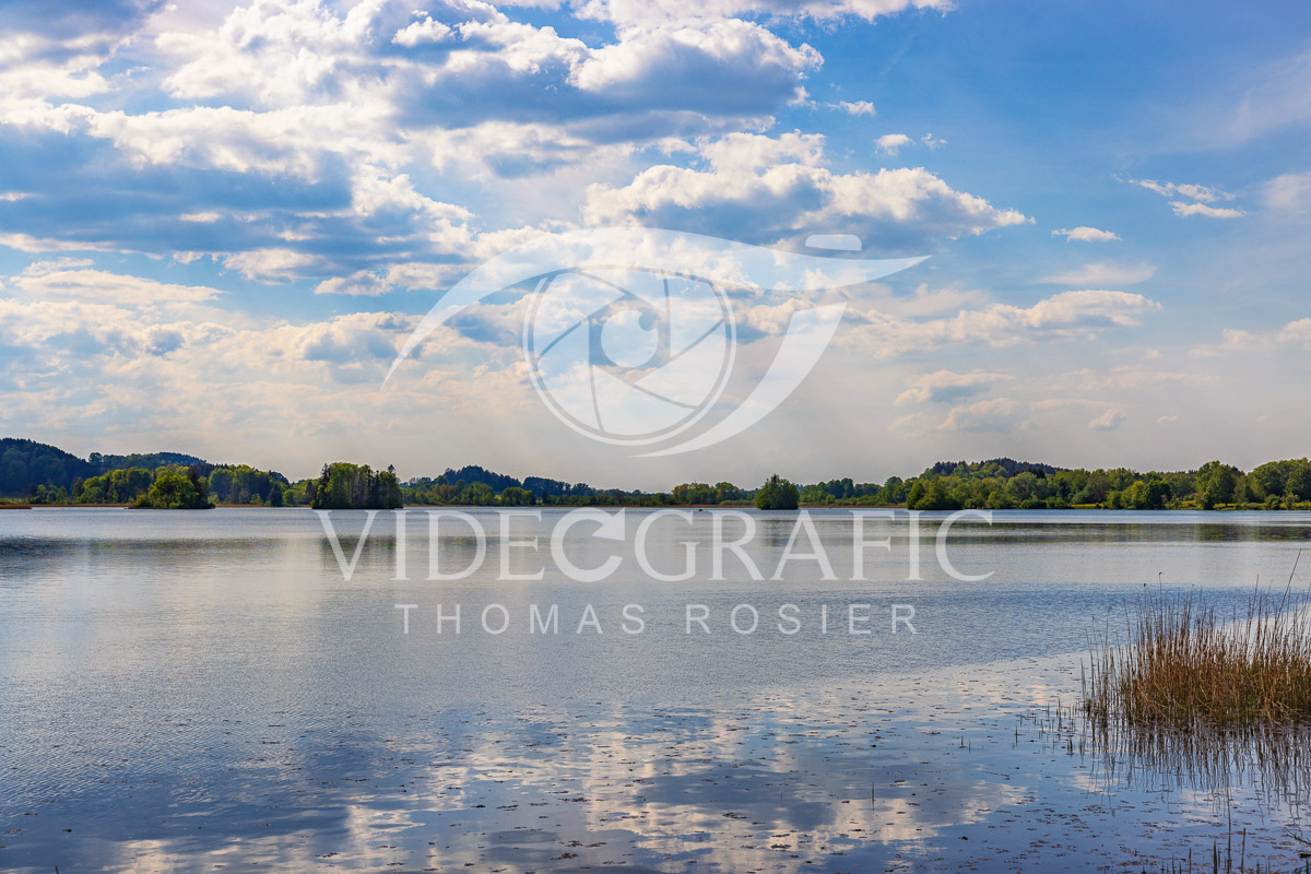 Lake-Seehamersee-108.jpg