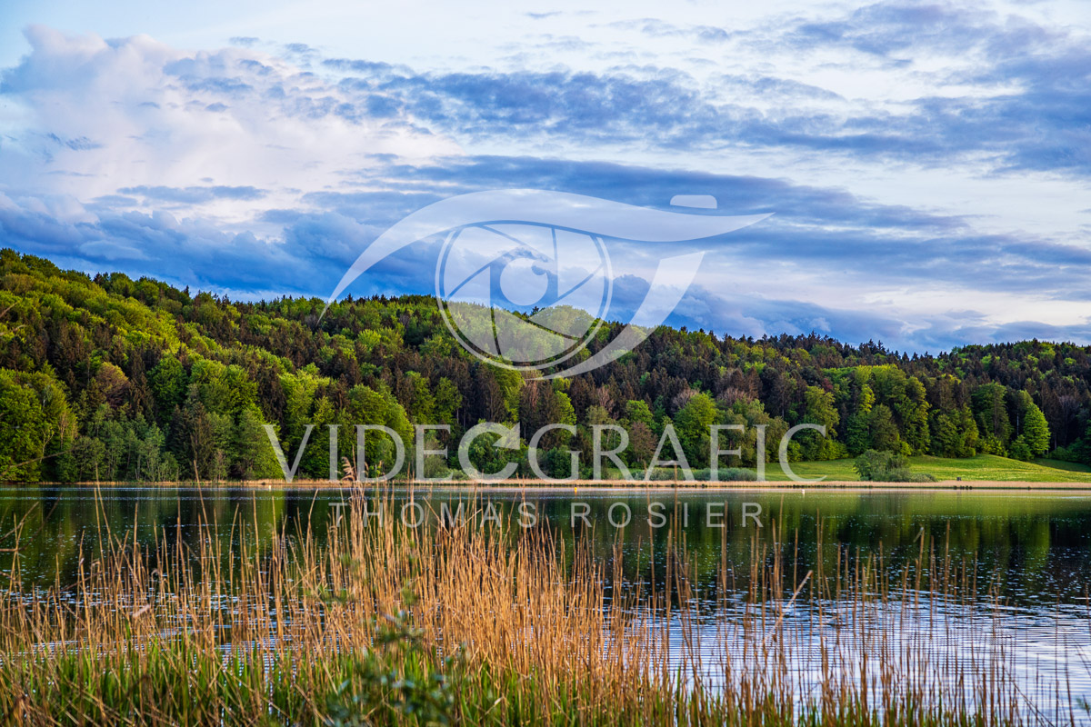 Lake-Seehamersee-128.jpg