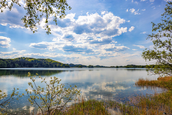Lake-Seehamersee-100.jpg