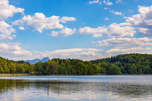Lake-Seehamersee-109.jpg