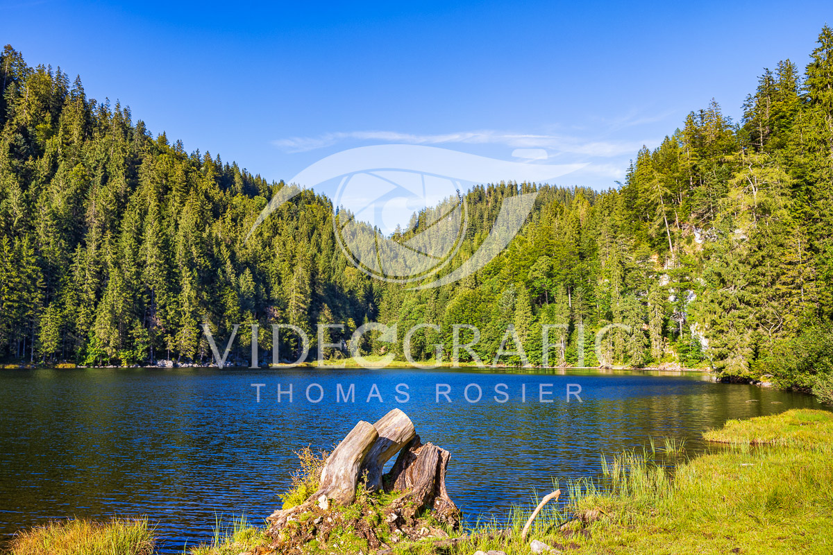 Lake-Taubensee-004.jpg