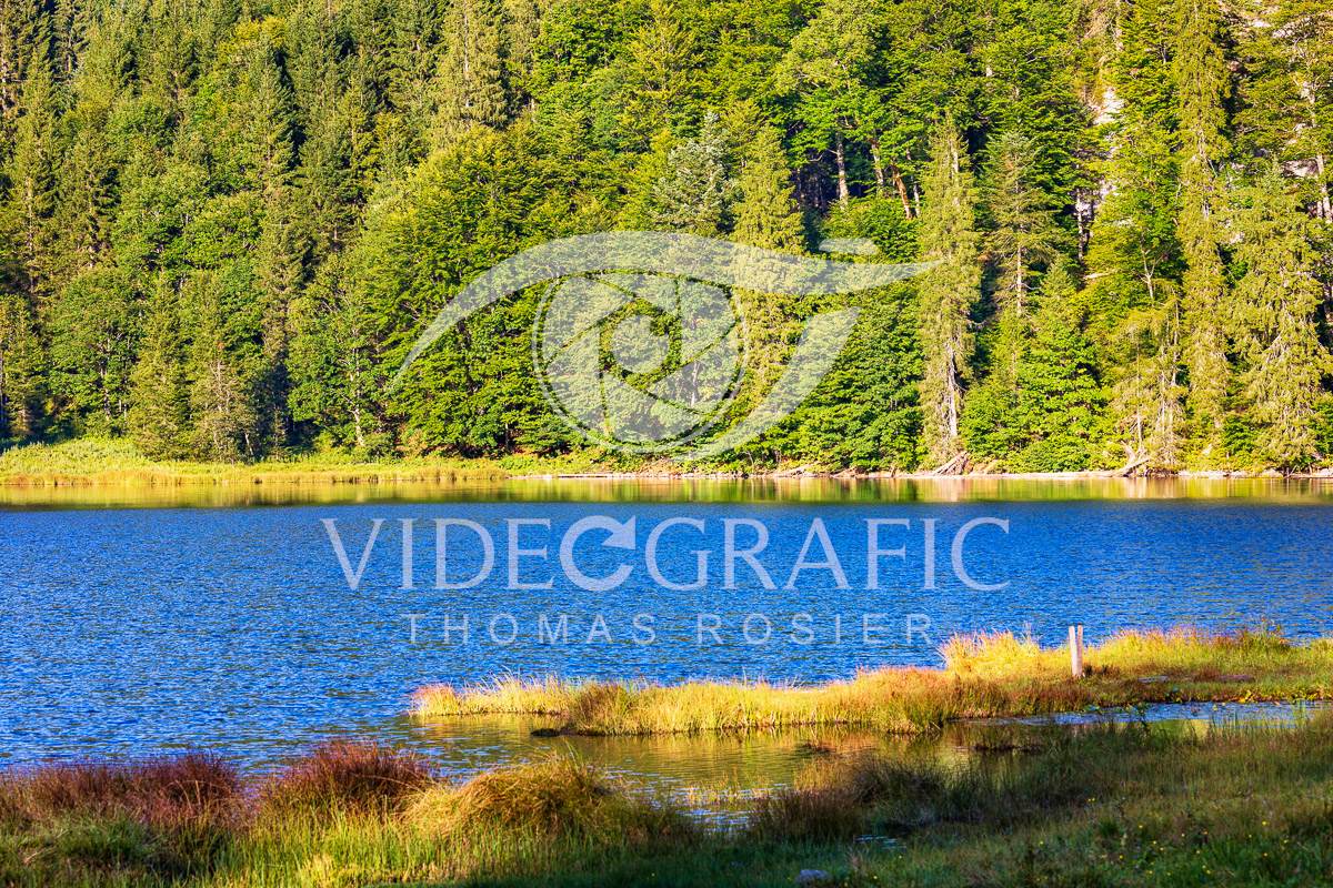 Lake-Taubensee-012.jpg