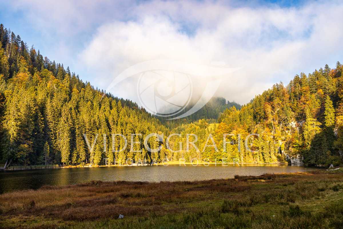 Lake-Taubensee-014.jpg