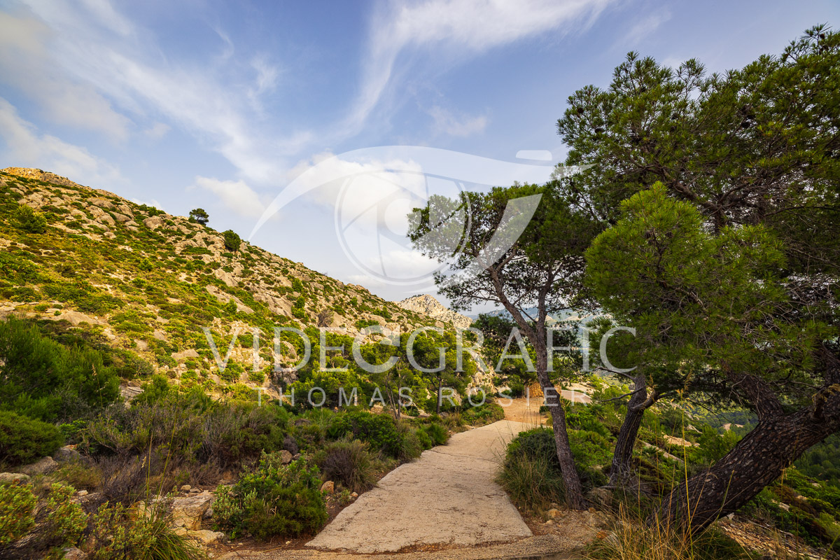 Mallorca-Landscapes-classic-Collection-334.jpg