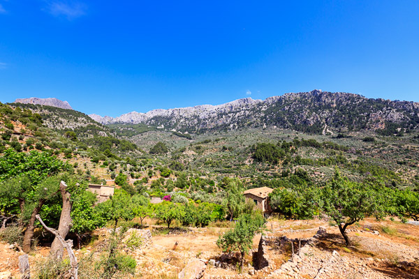 Mallorca-Landscapes-classic-Collection-109.jpg