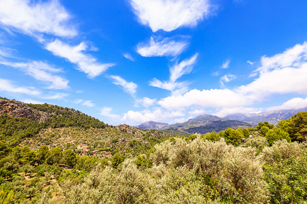 Mallorca-Landscapes-classic-Collection-127.jpg