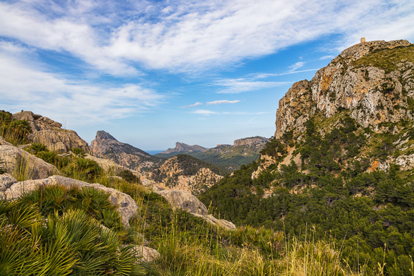 Mallorca-Landscapes-classic-Collection-226.jpg