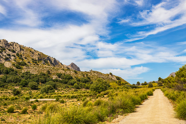 Mallorca-Landscapes-classic-Collection-532.jpg