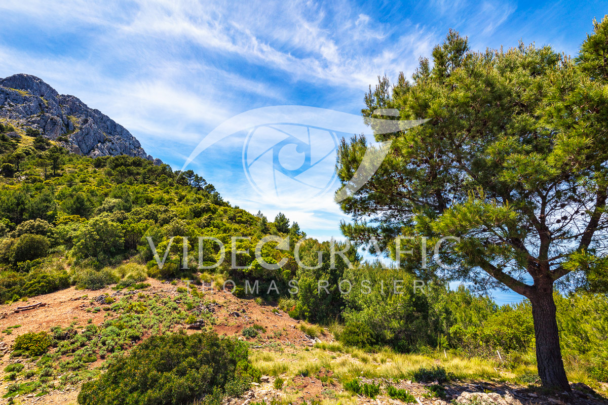Mallorca-Landscapes-mountainous-Collection-108.jpg