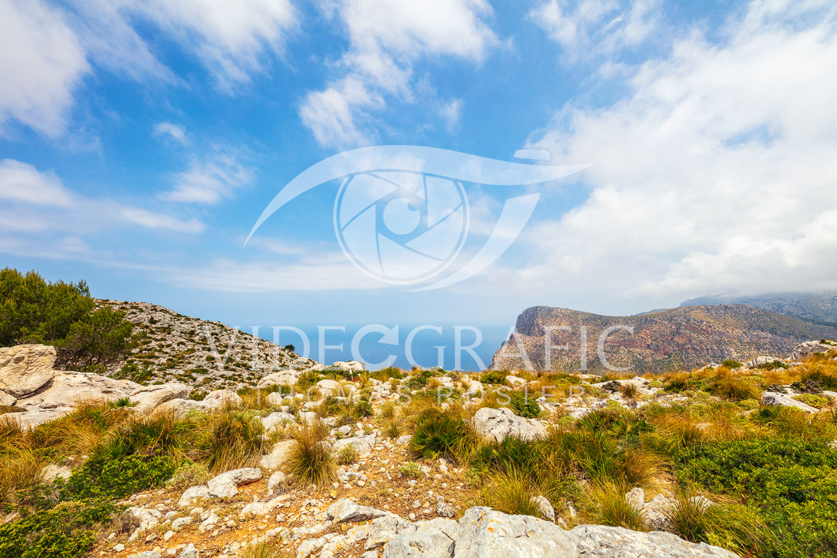 Mallorca-Landscapes-mountainous-Collection-183.jpg