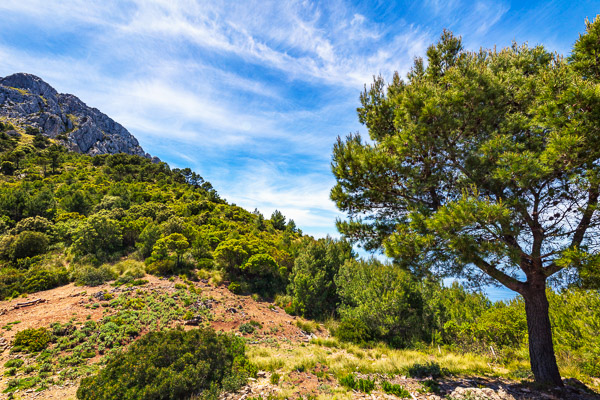 Mallorca-Landscapes-mountainous-Collection-108.jpg