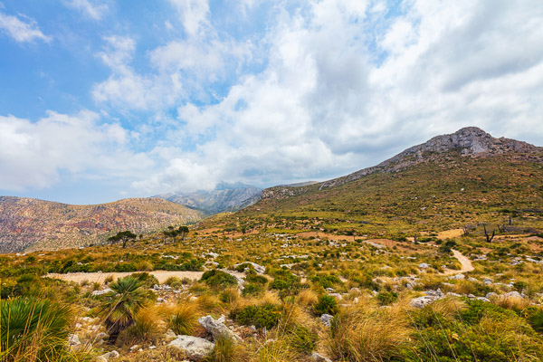 Mallorca-Landscapes-mountainous-Collection-114.jpg
