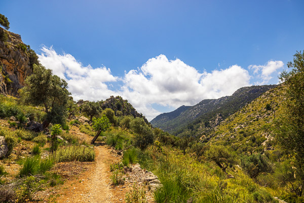 Mallorca-Landscapes-mountainous-Collection-160.jpg